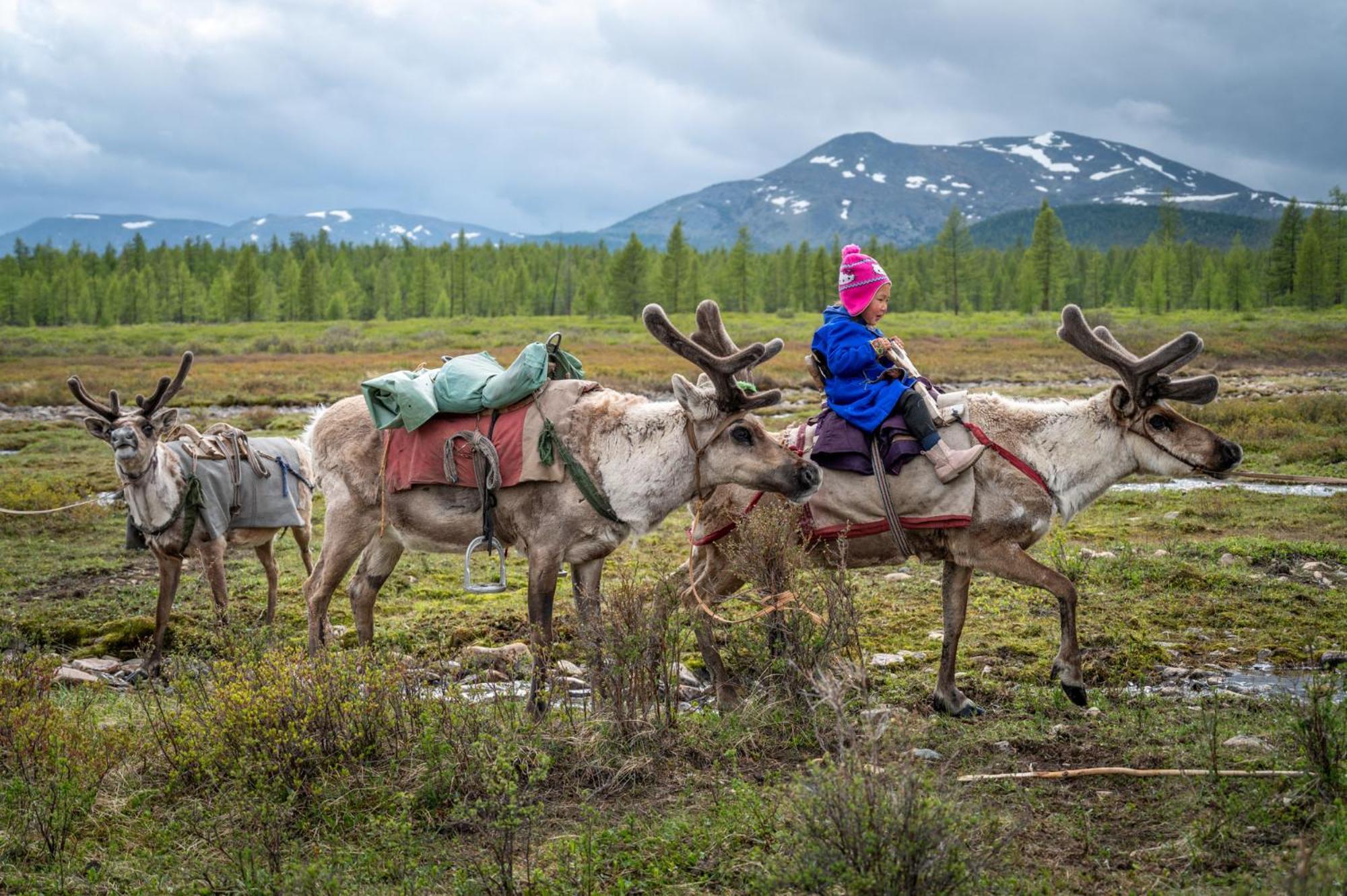 Gobi-Girl Hotel อูลานบาตอร์ ภายนอก รูปภาพ