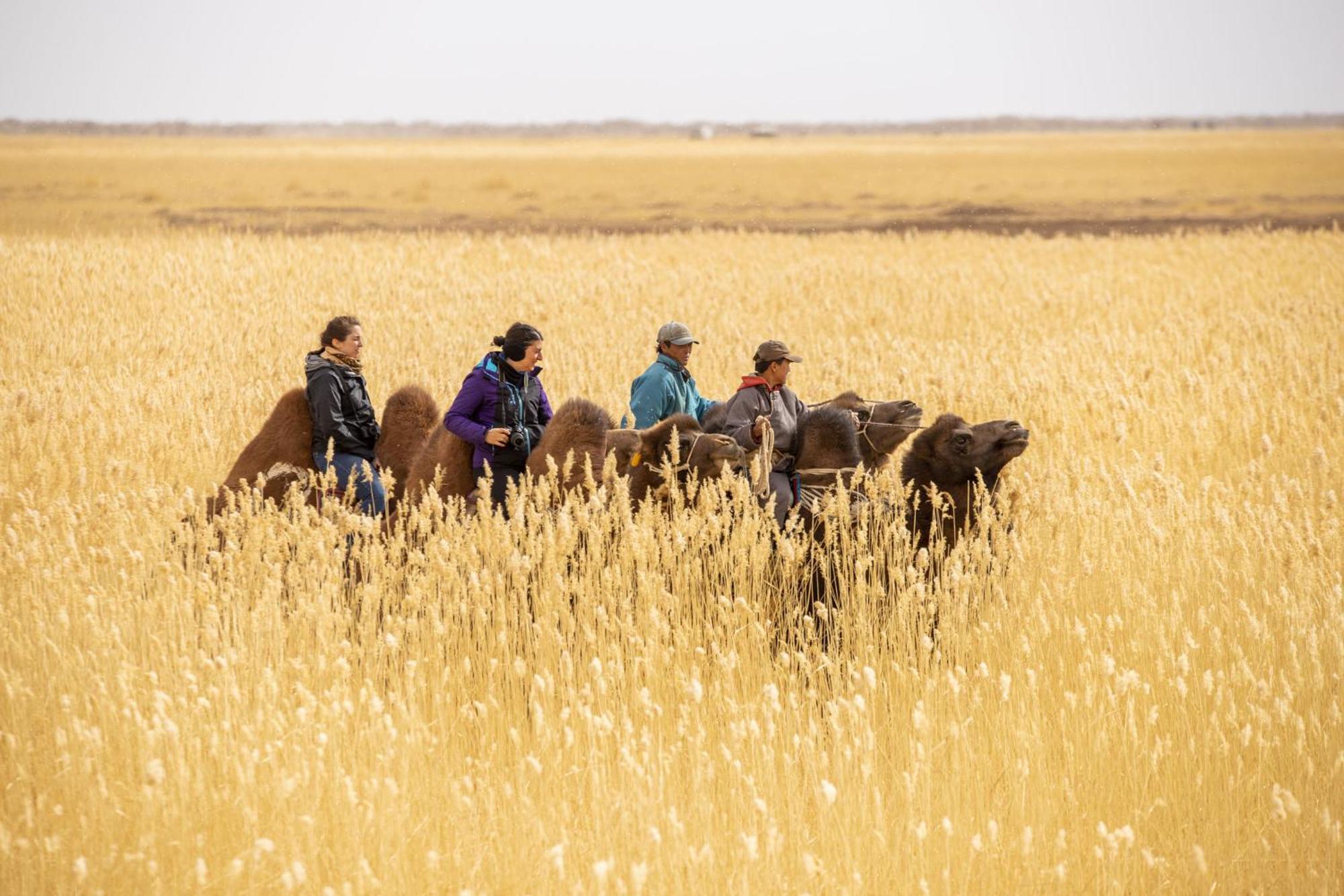 Gobi-Girl Hotel อูลานบาตอร์ ภายนอก รูปภาพ