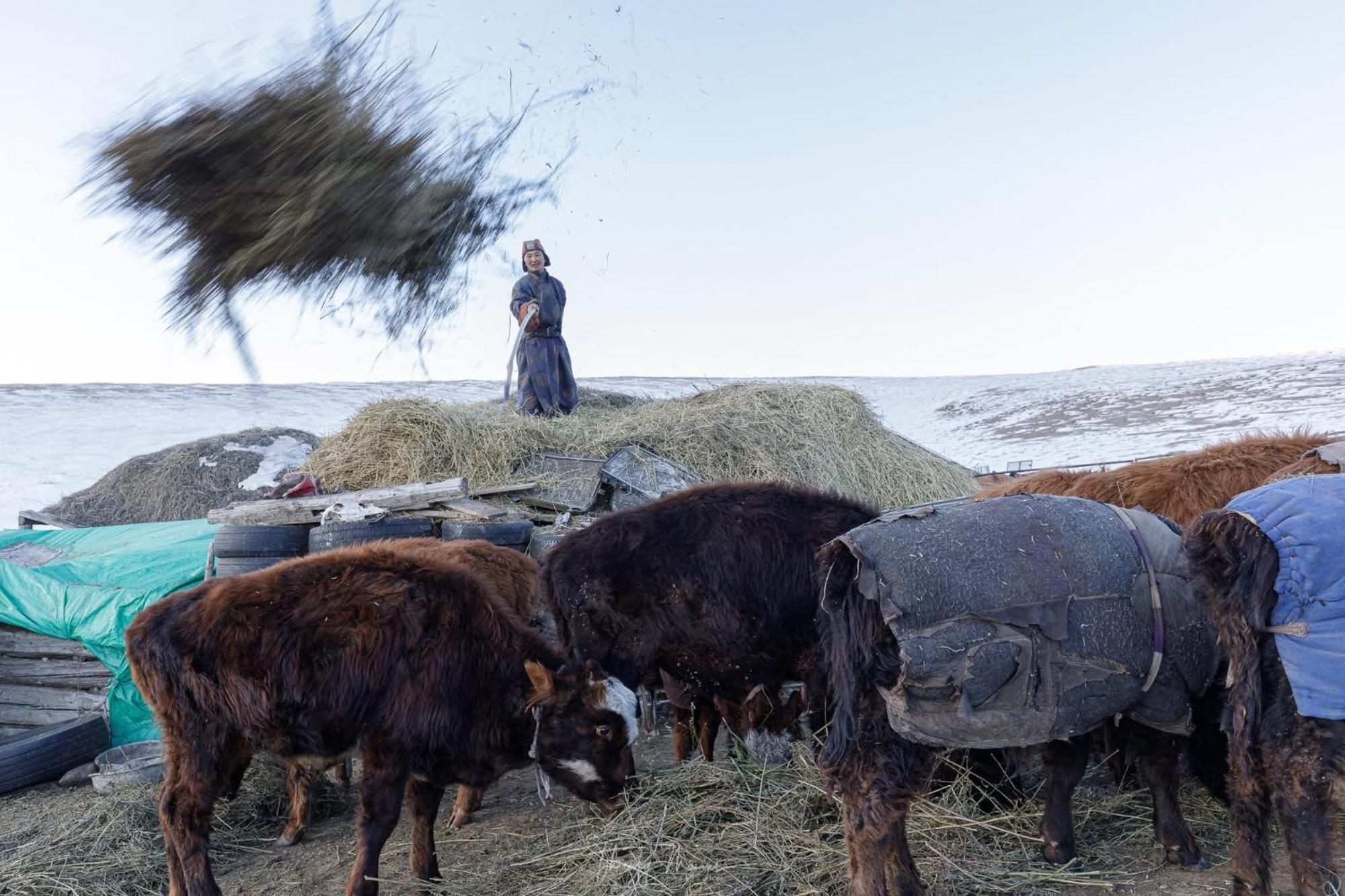 Gobi-Girl Hotel อูลานบาตอร์ ภายนอก รูปภาพ