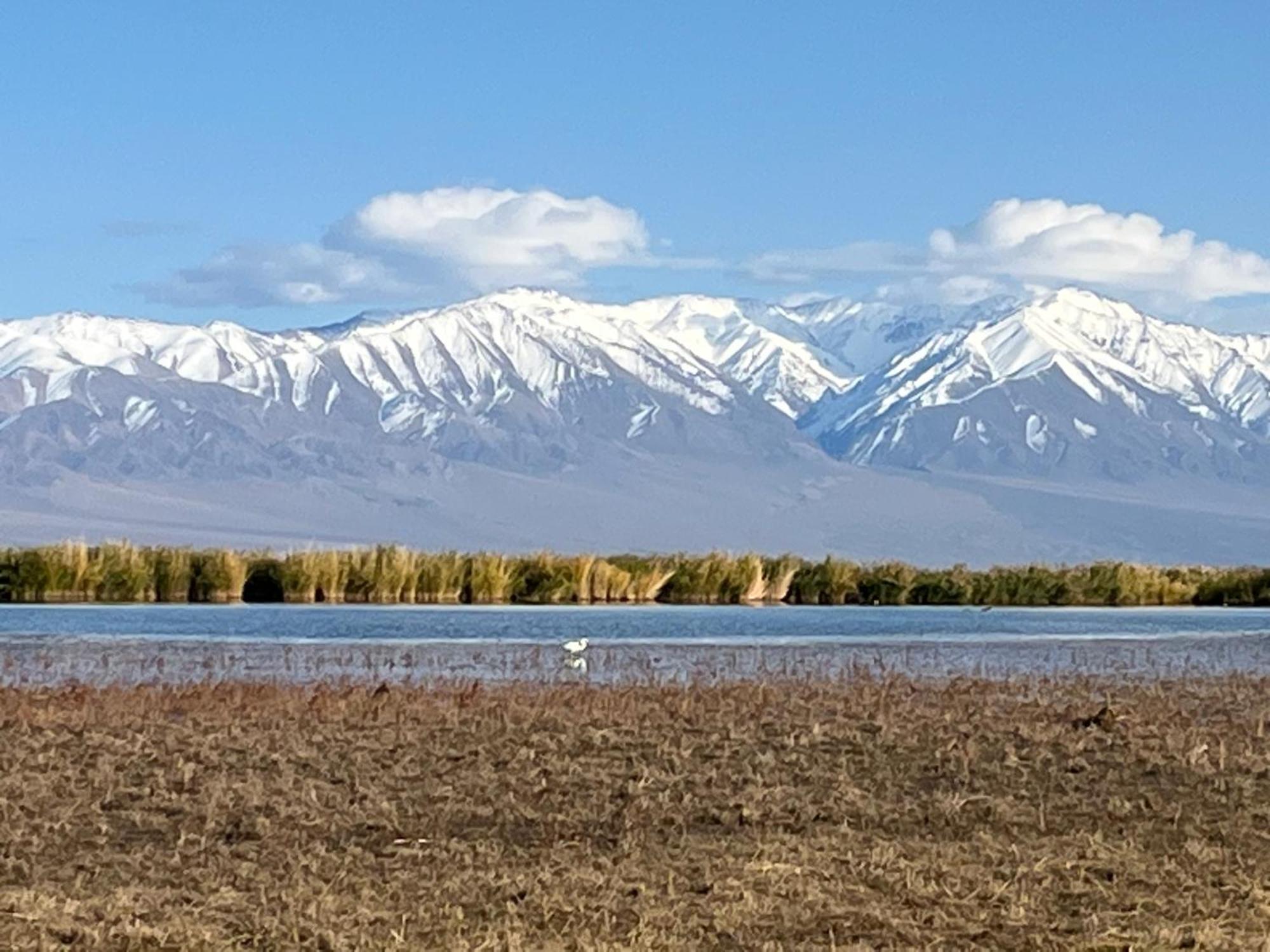 Gobi-Girl Hotel อูลานบาตอร์ ภายนอก รูปภาพ