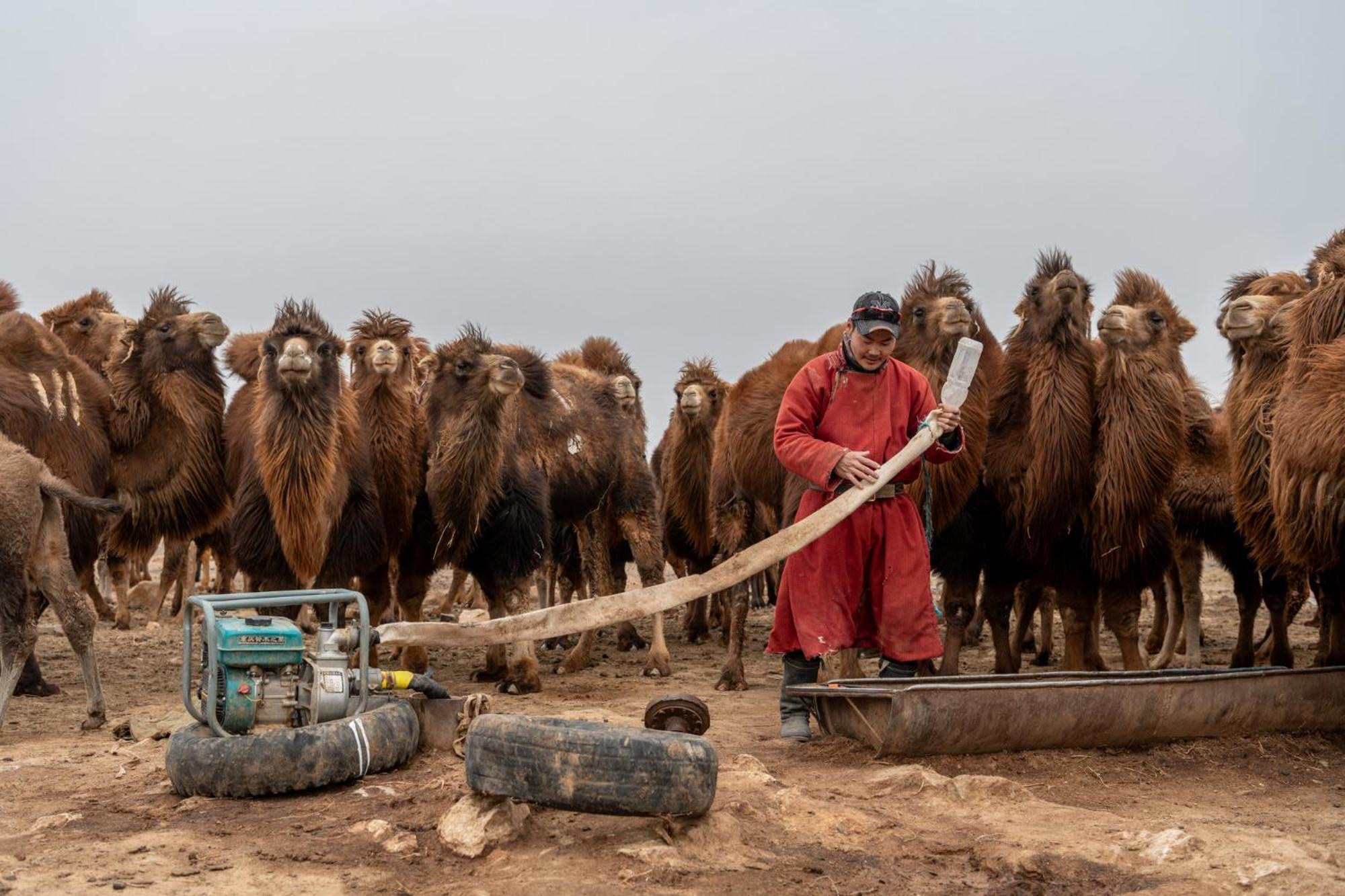Gobi-Girl Hotel อูลานบาตอร์ ภายนอก รูปภาพ