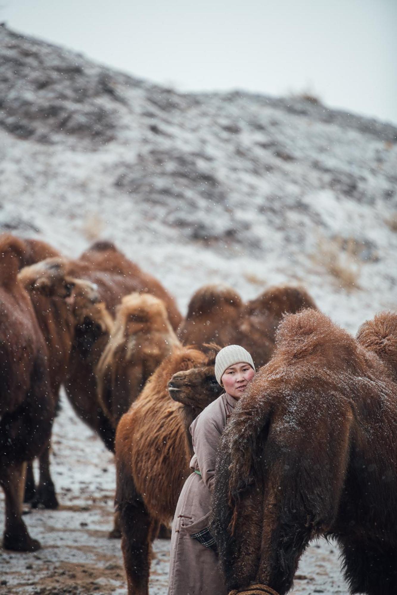 Gobi-Girl Hotel อูลานบาตอร์ ภายนอก รูปภาพ
