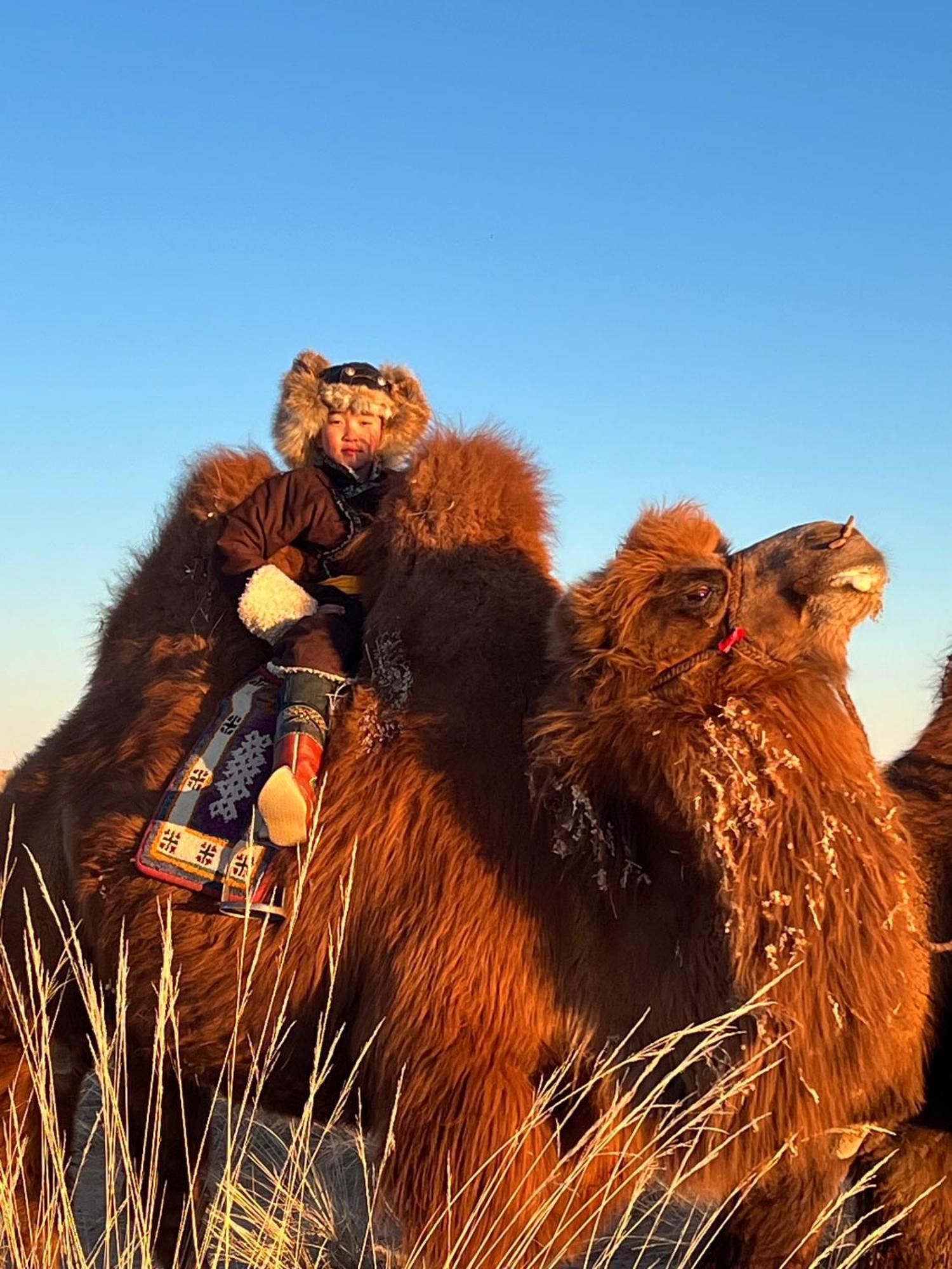 Gobi-Girl Hotel อูลานบาตอร์ ภายนอก รูปภาพ